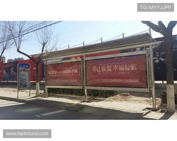 深入了解d88尊龙游戏官网的多种充值方式及优惠活动