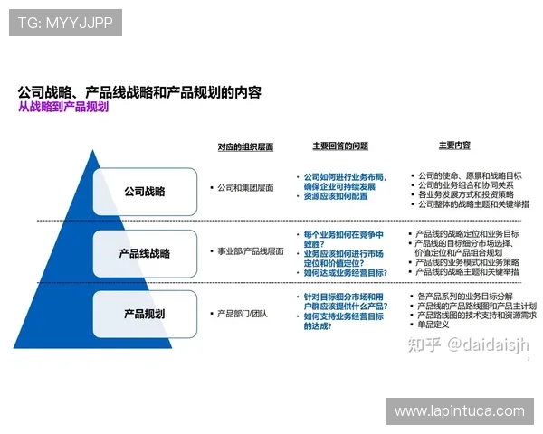 解读凯时体育官网的市场定位及发展战略